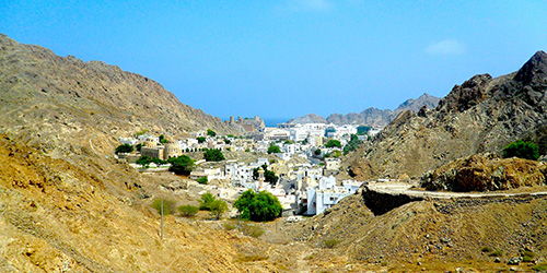 old-muscat